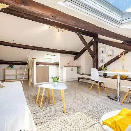Le Cocoon, Beau T2 Sous Les Toits, Centre * 몽펠리에
