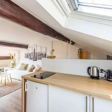 아파트 Le Cocoon, Beau T2 Sous Les Toits, Centre *